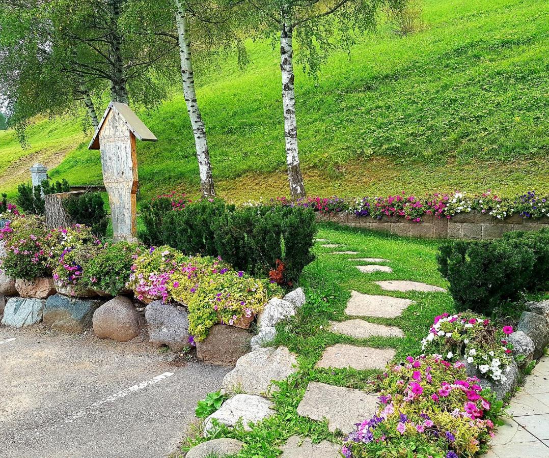 Ciasa Alpina Relax Hotel 모에나 외부 사진